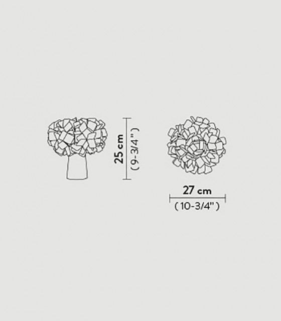 clizia-table_outlines-1.jpg