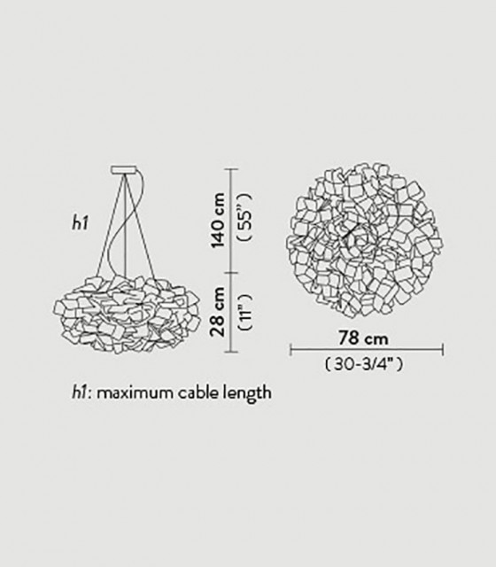 clizia-susp-large_outlines-1.jpg