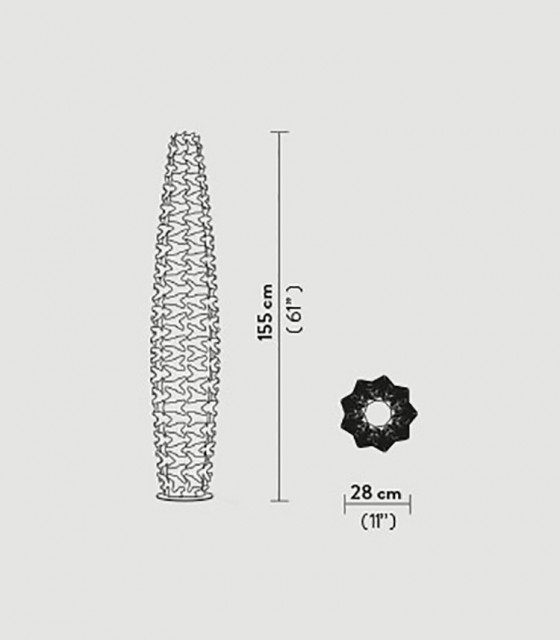 cactus-xl-prisma_outlines.jpg