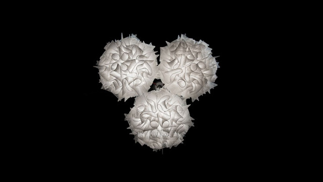 03_veli-mini-trio_slider.jpg